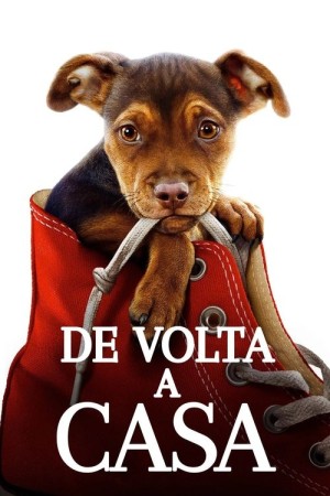 Capa do filme A Caminho de Casa para assistir online em HD