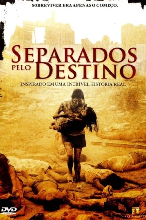 Capa do filme Separados Pelo Destino para assistir online em HD