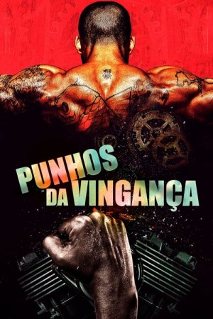 Capa do filme Punhos da Vingança para assistir online em HD